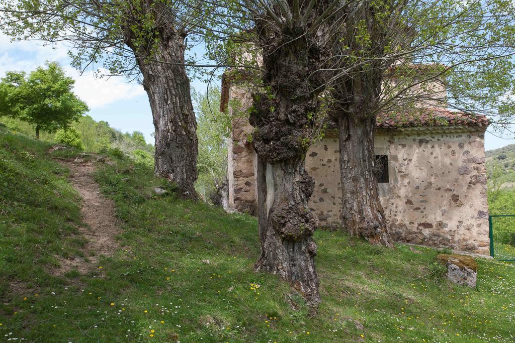 Posada De Urreci Aldeanueva de Cameros Exteriér fotografie