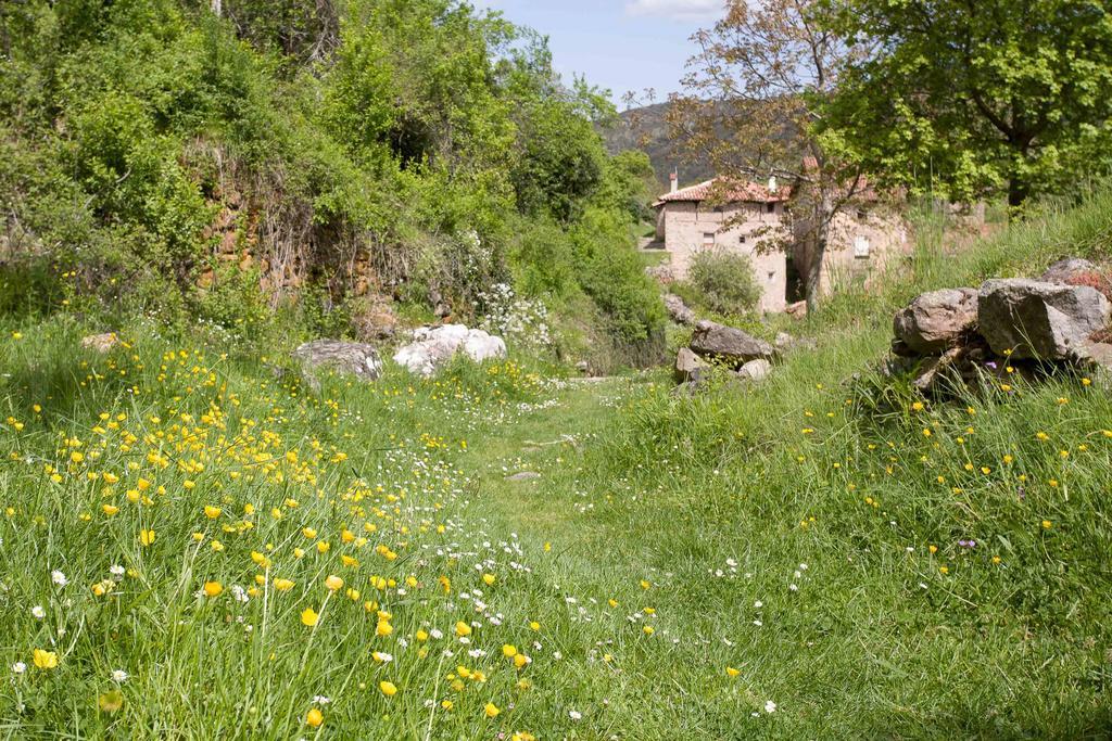 Posada De Urreci Aldeanueva de Cameros Exteriér fotografie